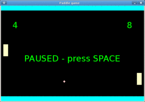 Paddle game written by Michal Kolodziejczyk